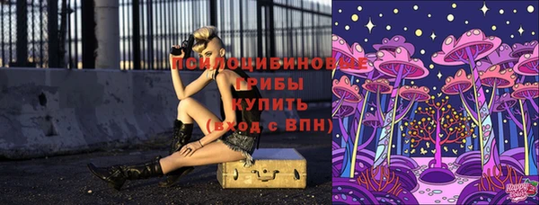 таблы Армянск