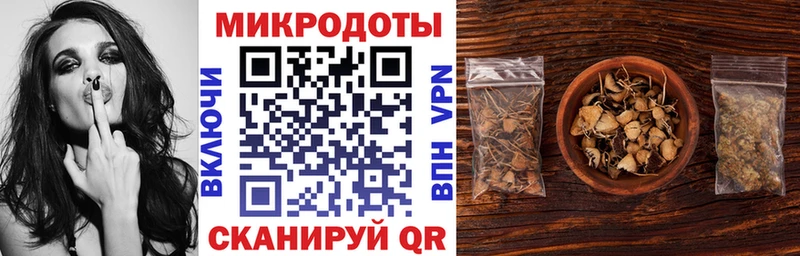 Галлюциногенные грибы Psilocybine cubensis  Нарьян-Мар 